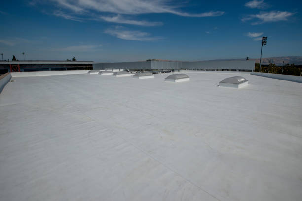 Best Cold Roofs  in Bithlo, FL